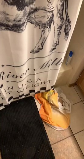 Zeb Judd (@that_2021_fjb)’s videos with original sound - Zeb Judd