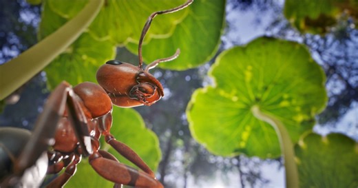 This UE5-Powered Ant Sim Game got a New Trailer & Release Date