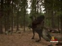 Allosaurus and Ceratosaurus- Wont Back Down