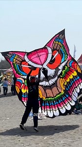 Layangan celepuk 200 cc from mahardika | Deeva Kite