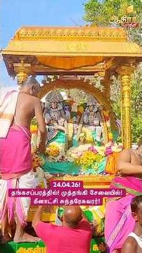தங்கசப்பரத்தில்! முத்தங்கி சேவையில்! மீனாட்சி சுந்தரேசுவரர்! சித்திரை திருவிழா 2026! 24.04.26!