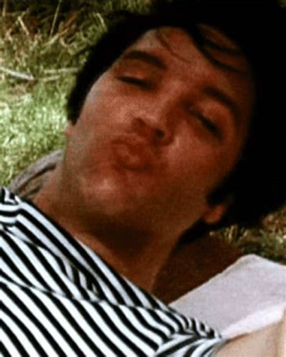 Elvis Presley: Forever a Graceland Girl