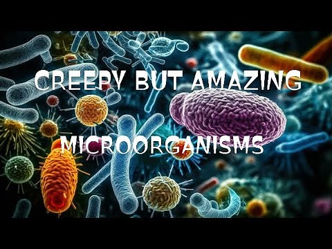 Microorganisms|Bacteria,virus and fungi|Diseases caused by microorganisms