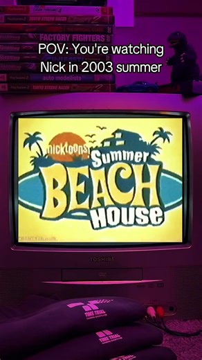 Remember about this nick summer special?