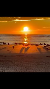15K views · 744 reactions | Good Morning!! ☕️ Current temp ~ 30: Water temp ~ 53 Next high tide ~ 1:25 pm: Next low tide ~ 7:25 pm Wishing all of you a wonderful day!! ️☀️️. #sunrise #nature #southcarolina #beachlife #peace | Myrtle Beach Grand Strand Life | Facebook