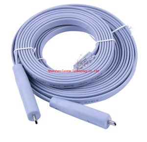 [Hot Item] FT232 Zt232 Chip, USB RS232 Cable, USB-RS232-We