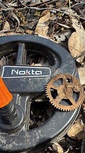 A hard day out on the coils but a nice little silver toggle in the end. Tips and tricks on coil changing in the video. YouTube link in bio #thecoffeebushkid #wildsilver #noktanomads #legend2 #metaldetecting #metaldetectingfinds #metaldetectingaustralia #relics #relicsandartifacts #relichunter #relichunters #goldfields #goldfieldsvictoria #metaldetectingvictoria #equinox #detector #detectorist #metaldetectorist #history #australianhistory #goldfieldshistory #detectorists #dirtfishing #dirtfishing