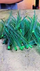 Give plastic a second life! Fun and functional bottle upcycles!