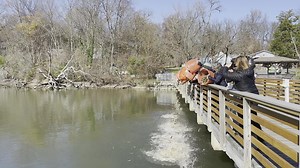CBF & SERC Oyster Dump