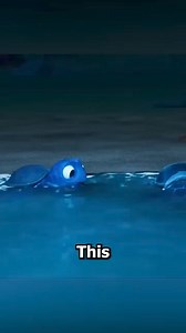 28K views · 224 reactions | This Baby Turtle Is Scared! #short #virals #clip | Cartoon SHORT Storie | Facebook