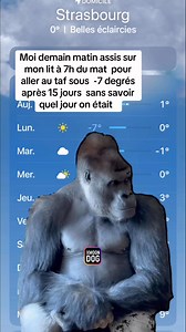 La reprise va piquer #memes #drolehumour #rire #drole | xMoonDog