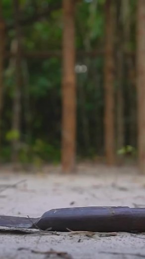 10K views · 112 reactions | How To Build Amazing Modern Mud Villa House and Swimming Pool in Deep Jungle | Primitive Unique Tool | Facebook