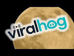 Multiple UFO's Filmed Moving Across the Moonlight || ViralHog