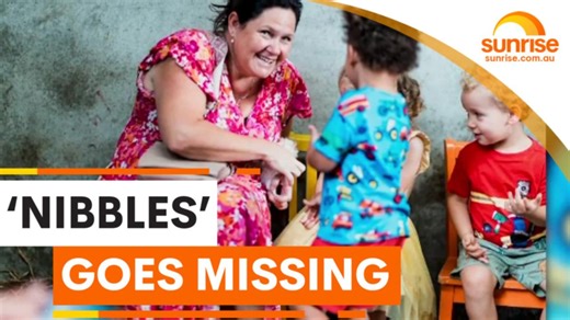 Missing guinea pig 'Nibbles'