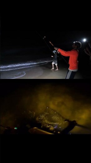 sharking and gigging