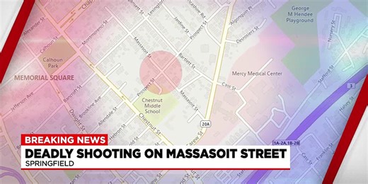 Springfield man arraigned on murder charge in 2024 shooting death