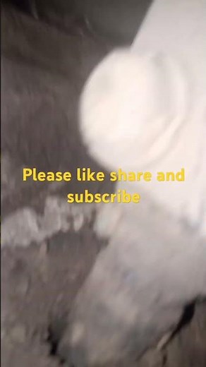 caterpillar 416c backhoe water in transmission fluid transmission overheating