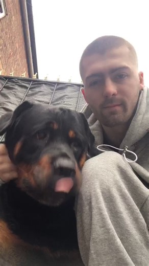 Dancey Dance with Bob 🐾 (IG: tommalonejr) #fyp #foryoupage #foryou