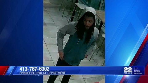 Springfield Police seek help identifying hit-and-run suspects