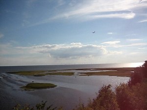 Multiplex Fox Pitcheron Conversion