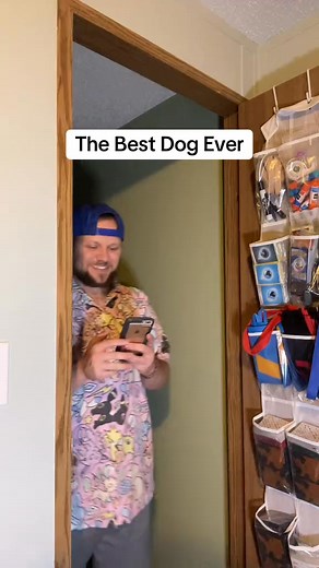 14K views · 201 reactions | The best dog type Pokemon has to be Arcanine, let’s be real… but personally, I’m a huge fan of Litten! Team Cat Dad for the win! #pokemon #pokemongames #legendarypokemon #videogames #fbreelsfypシ゚viralfbreelsfypシ゚viral #fbreelsfypシ゚ #fbreelsfypシ゚viralシ #fbreels #fbtrendingreels | Legendary Pokeman | Facebook