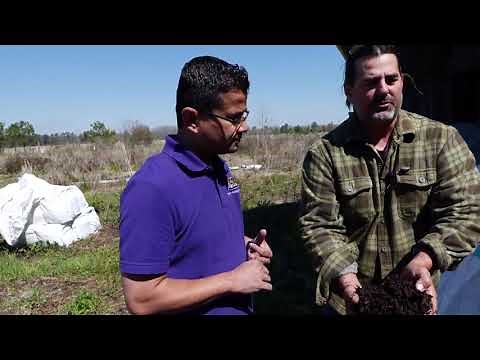 Touring a commercial vermicomposting facility.