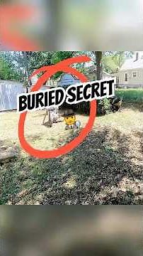 Widow's Backyard Hid THIS for 4 Years - We Found It!#shorts #lawncare #mowing