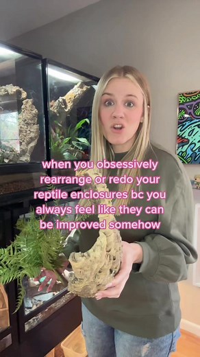 Improving Reptile Enclosures: A Constant Journey