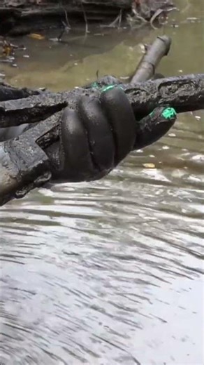 WW2 relics pulled from the river.Hidden underwater for decades, preserved by mud, cold, and time.