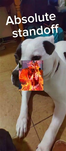 Protogens vs humans episode 13 (part 2)