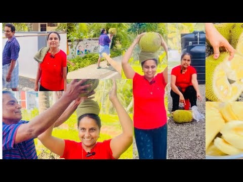 Village Girl’s Journey to the Forest to Find Sweet Tropical Fruit