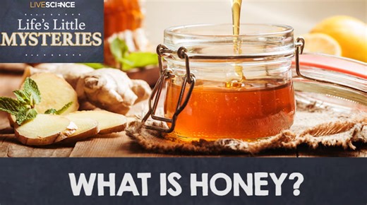 What exactly is honey made of?