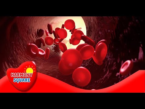 What are Red Blood Cells - More Science on the Learning Videos Channel