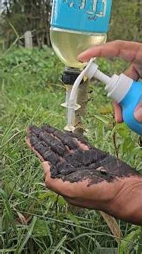 Survival skills SMART and USEFUL make soap and water in forest #skills #survival #outdoors #lifehack