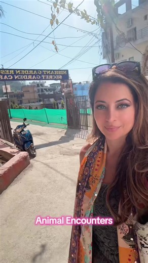 Exploring Wildlife on Mountain Walks