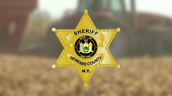 Driver killed after deer smashes through windshield