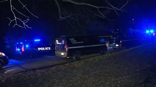 Dispute leads to deadly shooting inside of Decatur neighborhood, police say