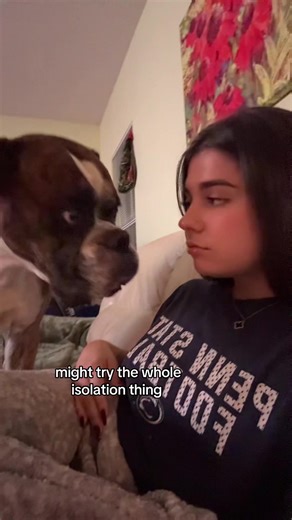 Healing Through Isolation: A New Trend for 2026