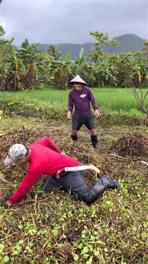 Frog prank #viralvideo | Wagat TV