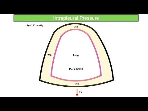 INTRAPLEURAL PRESSURE