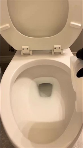 Sarahssideofcleaning on Instagram: "Toliet bowl clean #sudsy #tolietcleaning #satisfying #sudsy #cleaningmotivation"