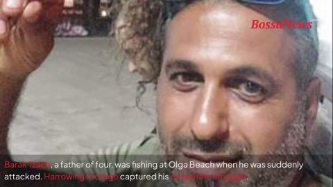 Scientists sound alarm after ‘harmless’ shark species kills snorkeler in first recorded attack