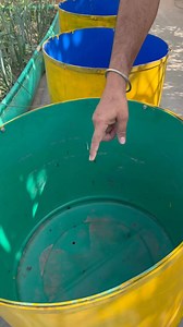 567K views · 7.9K reactions | Dragon Fruit Part-2 | GreenLife Diaries | Facebook