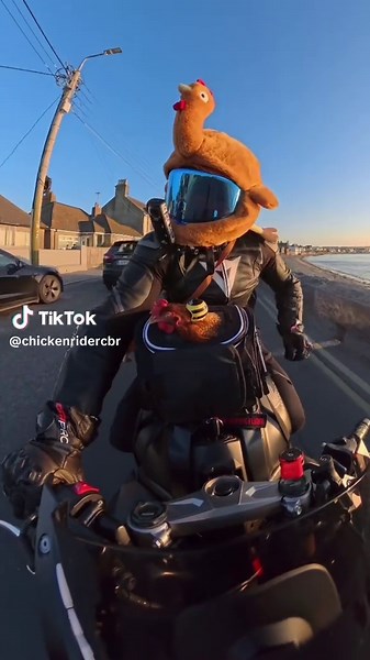 ChickenRider on TikTok