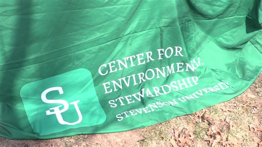 Environmental club clips