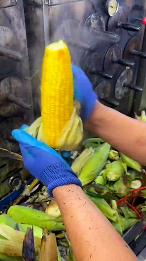 A machine that cooks your corn to perfection | Lilyon DIY