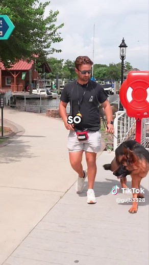 #dogtrainingforbeginners #dogtraining #puppytraining #dogtrainer #dogsoftiktok