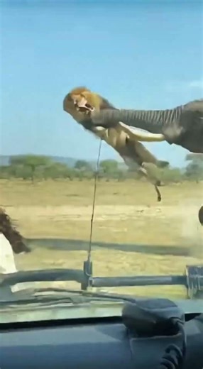 Elephant LAUNCHES Lion 90 Meters - SAVES Guide 🔥 #viral