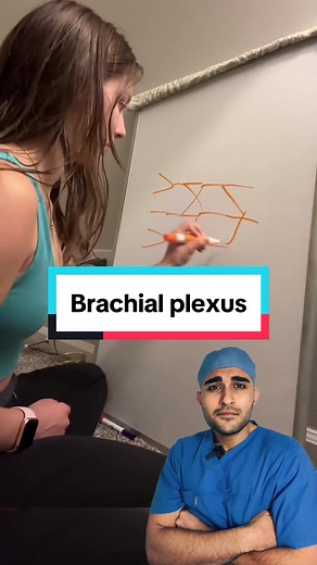 #medicine #medical #medtok #brachialplexus #medtok #nerves | brachial plexus