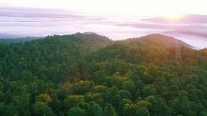 16K views · 1.3K reactions | With a logging ban and immense reforestation, the Khingan Mountains in northern China have transformed remarkably. Local people have turned ecological preservation into economic prosperity, showcasing the delicate balance between humanity and nature. | China Xinhua Economy | Facebook